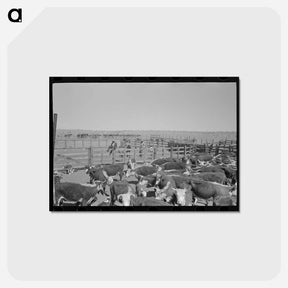 アートポストカード-Cattle Roundup near Marfa
 - ラッセル リー Postcard.