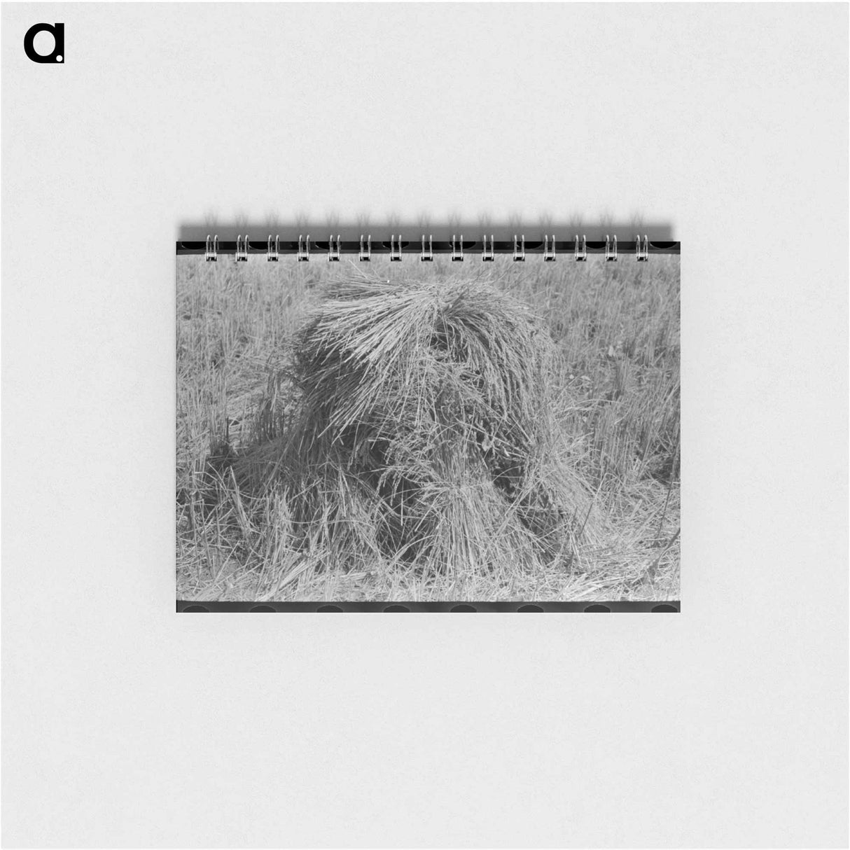 アートメモ帳-Shocks of Rice in Field
 - ラッセル リー Memo.