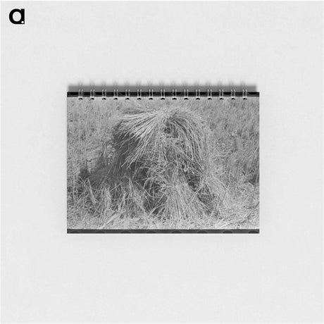 アートメモ帳-Shocks of Rice in Field
 - ラッセル リー Memo.