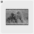 アートポストカード-Shocks of Rice in Field
 - ラッセル リー Postcard.
