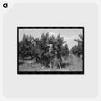アートポストカード-Picking Peaches, Delta County
 - ラッセル リー Postcard.