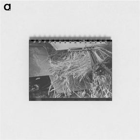 アートメモ帳-Rice Harvest, Louisiana
 - ラッセル リー Memo.