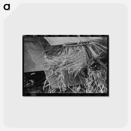 アートポストカード-Rice Harvest, Louisiana
 - ラッセル リー Postcard.
