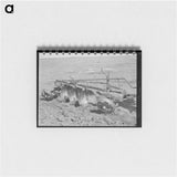 アートメモ帳-Disk Plow, El Indio
 - ラッセル リー Memo.