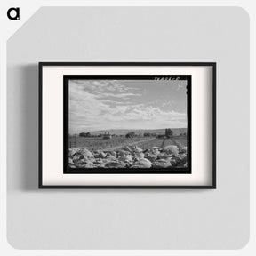 アートポスター-Yakima Hop Fields
 - ラッセル リー Poster.