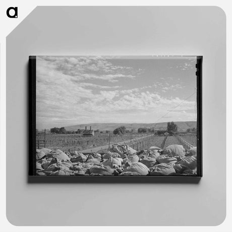 アートパネル-Yakima Hop Fields
 - ラッセル リー Canvas.