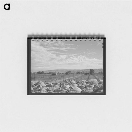アートメモ帳-Yakima Hop Fields
 - ラッセル リー Memo.