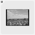 アートポストカード-Yakima Hop Fields
 - ラッセル リー Postcard.
