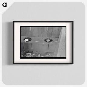 アートポスター-Interior of Privy, Southeast Missouri Farms
 - ラッセル リー Poster.