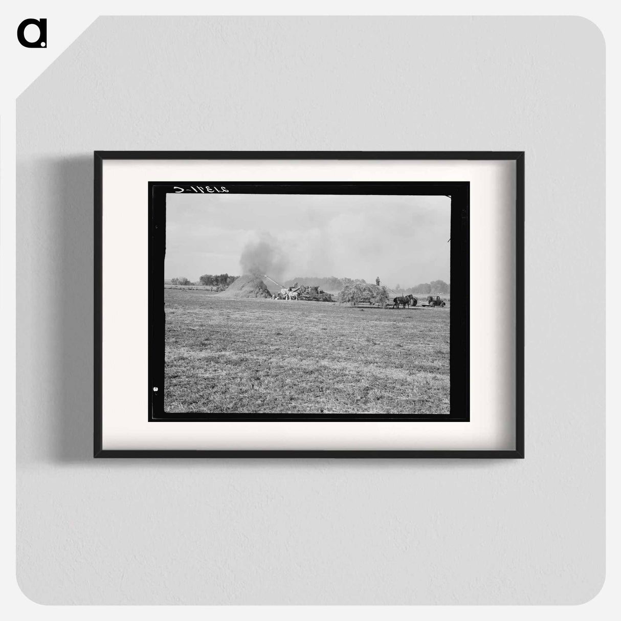 Threshing red clover for seed on older settler's ranch - Dorothea Lange Poster.