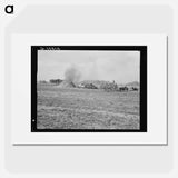 Threshing red clover for seed on older settler's ranch - Dorothea Lange Poster.