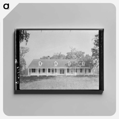 アートパネル-Avalon Plantation
 - ラッセル リー Canvas.