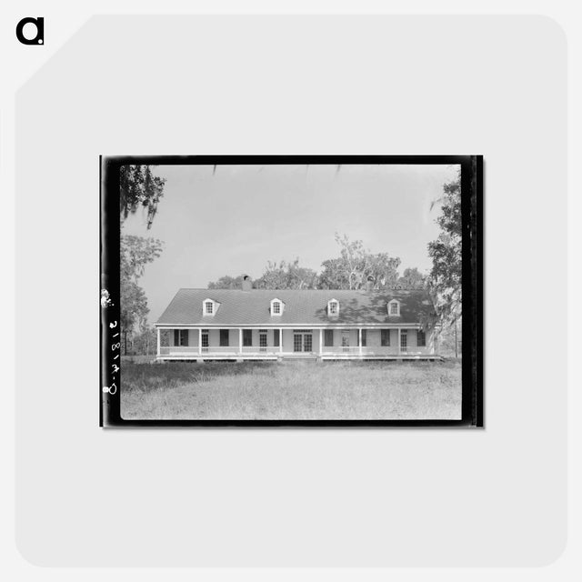 アートポストカード-Avalon Plantation
 - ラッセル リー Postcard.