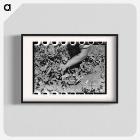 アートポスター-Picking Peas
 - ラッセル リー Poster.