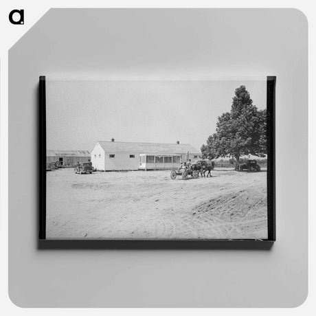 アートパネル-Cooperative Store
 - ラッセル リー Canvas.
