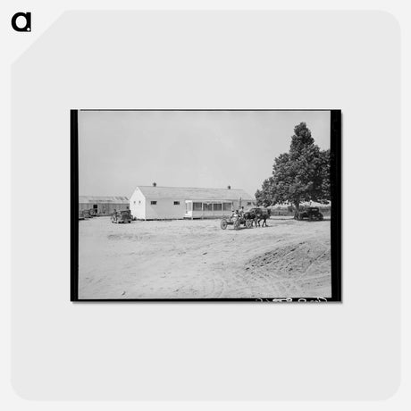 アートポストカード-Cooperative Store
 - ラッセル リー Postcard.