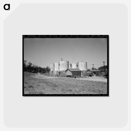 アートポストカード-Farmers Leaving Liquid Feed Loading Station
 - ラッセル リー Postcard.