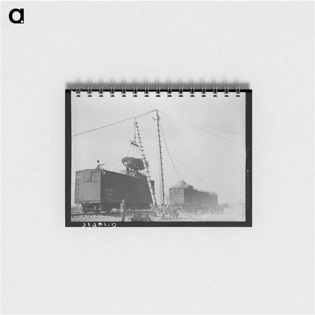 アートメモ帳-Sugarcane Harvest, Louisiana
 - ラッセル リー Memo.