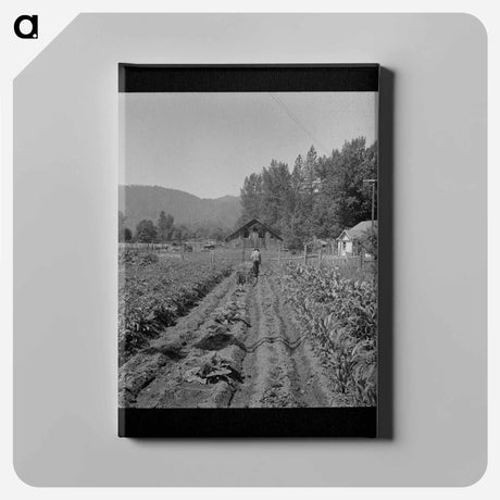 アートパネル-Jackson County Garden
 - ラッセル リー Canvas.