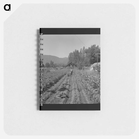 アートメモ帳-Jackson County Garden
 - ラッセル リー Memo.