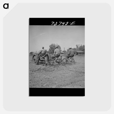 アートポストカード-Planting Peanuts
 - ラッセル リー Postcard.