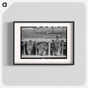 アートポスター-Dairy Cattle at the Feed Trough
 - ラッセル リー Poster.