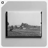 アートパネル-Farmstead Near Crowley
 - ラッセル リー Canvas.