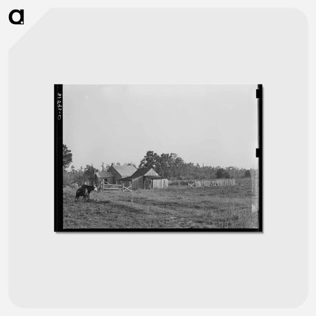 アートポストカード-Farmstead Near Crowley
 - ラッセル リー Postcard.