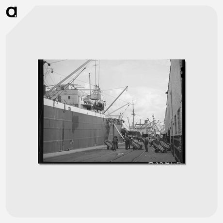 アートポストカード-Cotton Export, Port of Houston
 - ラッセル リー Postcard.