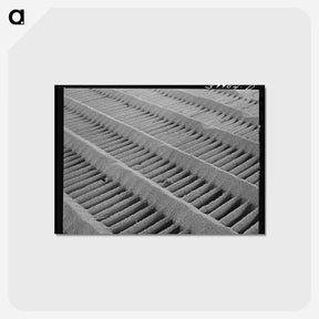 アートポストカード-Wheat on the Slats
 - ラッセル リー Postcard.