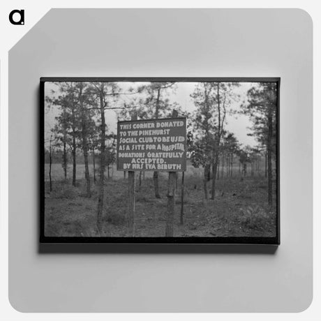 アートパネル-Pine Barrens Land Donation
 - ラッセル リー Canvas.