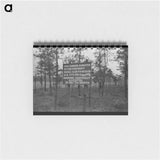 アートメモ帳-Pine Barrens Land Donation
 - ラッセル リー Memo.
