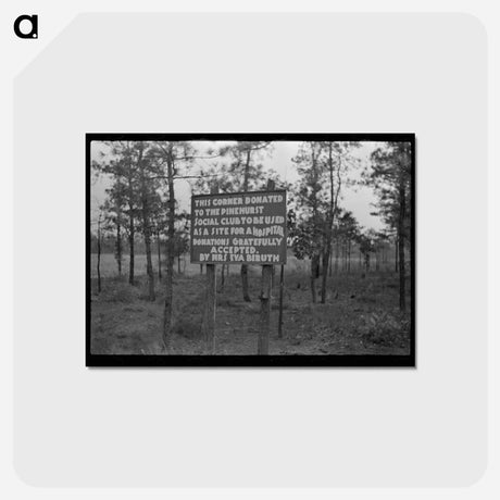 アートポストカード-Pine Barrens Land Donation
 - ラッセル リー Postcard.