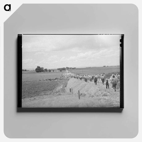 アートパネル-Pea Pickers
 - ラッセル リー Canvas.