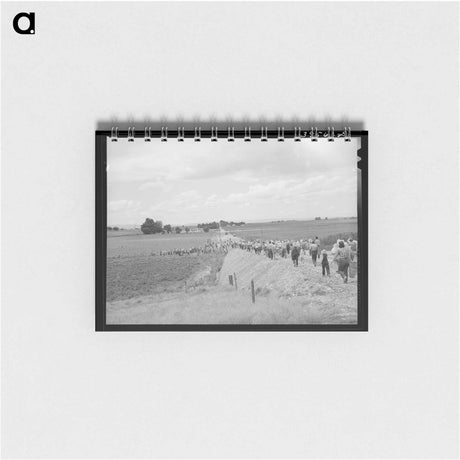 アートメモ帳-Pea Pickers
 - ラッセル リー Memo.