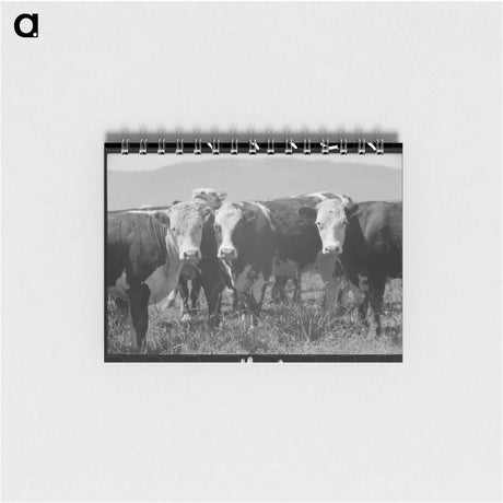 アートメモ帳-Cattle. Cruzen Ranch, Valley County, Idaho
 - ラッセル リー Memo.