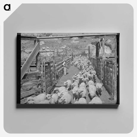 アートパネル-Fat Lambs to Market
 - ラッセル リー Canvas.