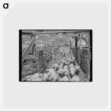 アートポストカード-Fat Lambs to Market
 - ラッセル リー Postcard.