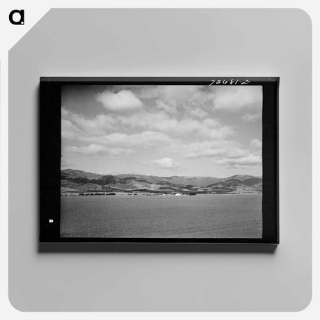 アートパネル-Monterey County Farmlands
 - ラッセル リー Canvas.