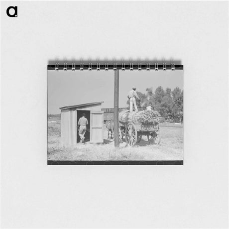 アートメモ帳-Load of Sugarcane
 - ラッセル リー Memo.