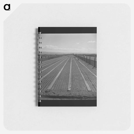 アートメモ帳-Guayule Nursery
 - ラッセル リー Memo.