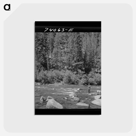 アートポストカード-Salmon River Fishing
 - ラッセル リー Postcard.