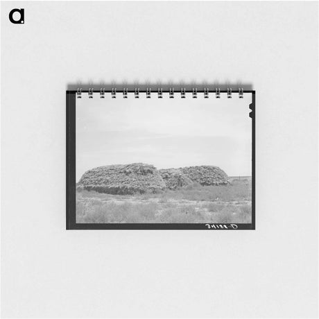 アートメモ帳-Bosley's Winter Feed
 - ラッセル リー Memo.