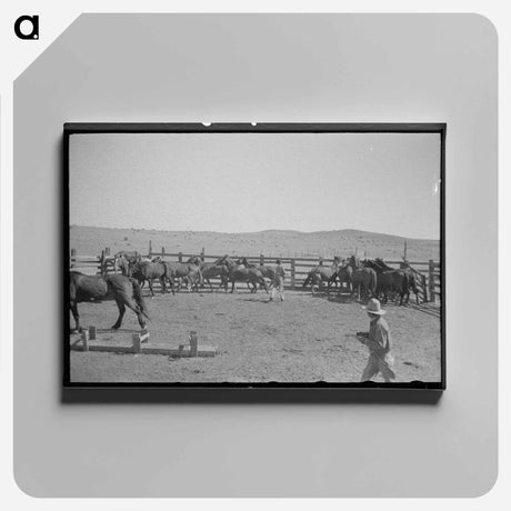 アートパネル-Cowboys at Marfa Ranch
 - ラッセル リー Canvas.