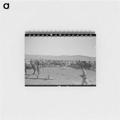 アートメモ帳-Cowboys at Marfa Ranch
 - ラッセル リー Memo.