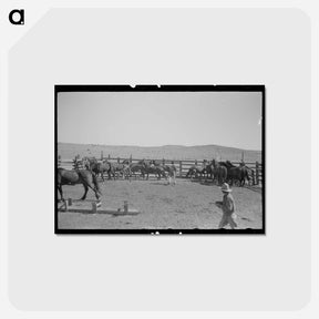 アートポストカード-Cowboys at Marfa Ranch
 - ラッセル リー Postcard.