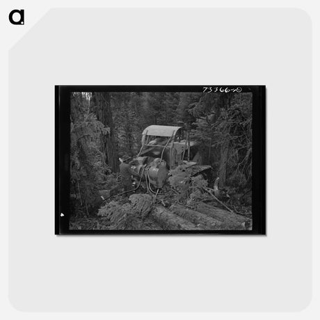 アートポストカード-Diesel Caterpillar
 - ラッセル リー Postcard.