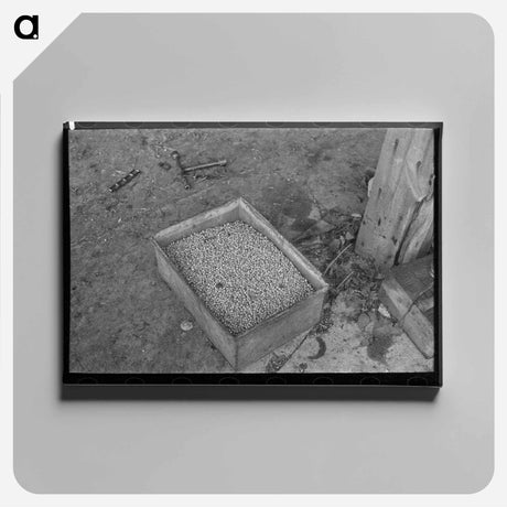 アートパネル-Boxes of Peas
 - ラッセル リー Canvas.