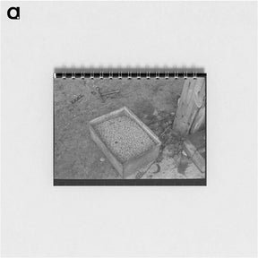 アートメモ帳-Boxes of Peas
 - ラッセル リー Memo.