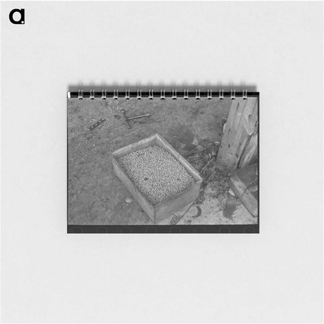 アートメモ帳-Boxes of Peas
 - ラッセル リー Memo.